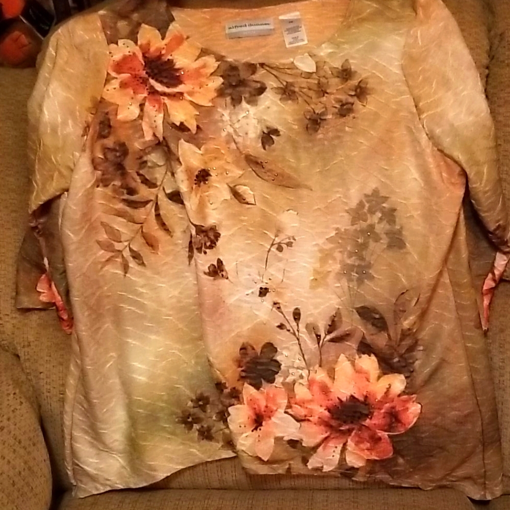 Beautiful  alfredo dinner blouse